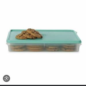 NWT Tupperware Snack-Stor large with egg inserts